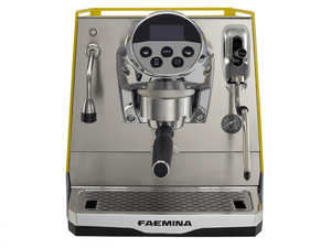 Faema Faemina 1 Group | Pro Coffee Gear